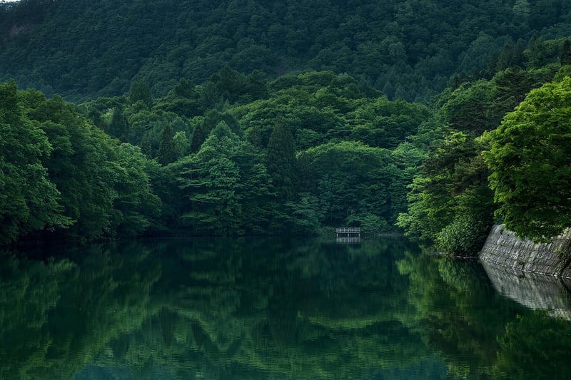 Remote Wilderness